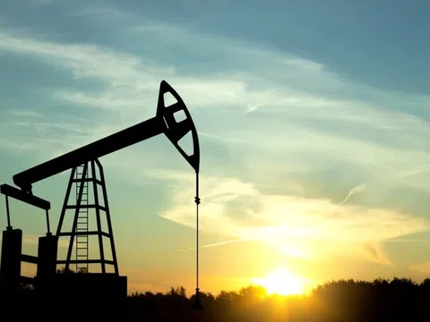 Giá xăng dầu hôm nay 25/11: Cập nhật giá xăng dầu thế giới và trong nước