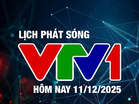 Lịch phát sóng VTV1 hôm nay ngày 11/12/2025