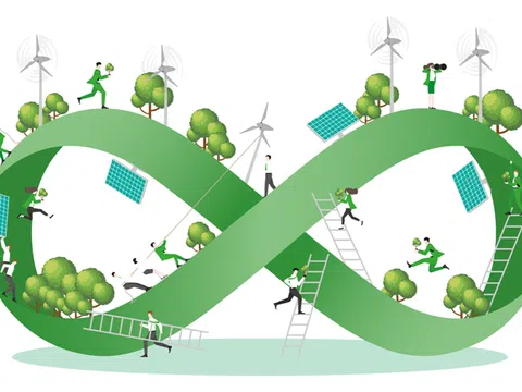 Thương mại điện tử xanh, bền vững tại Việt Nam