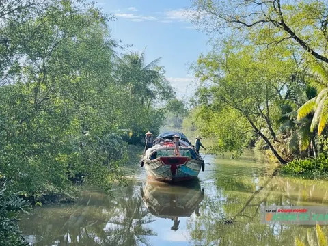 Cần Thơ sẵn sàng cho Lễ hội Văn hóa Sông nước 2025