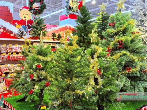 Thị trường Cần Thơ sôi động dịp Giáng sinh