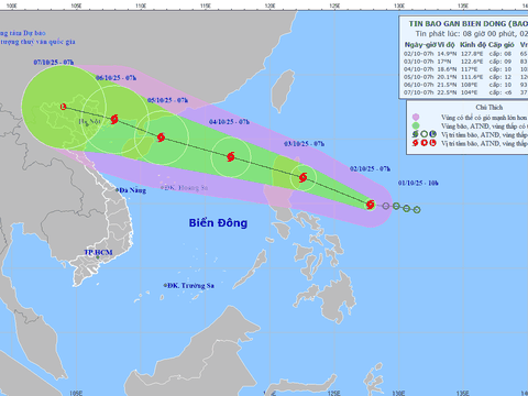Áp thấp nhiệt đới mạnh lên thành bão, sức gió giật cấp 10