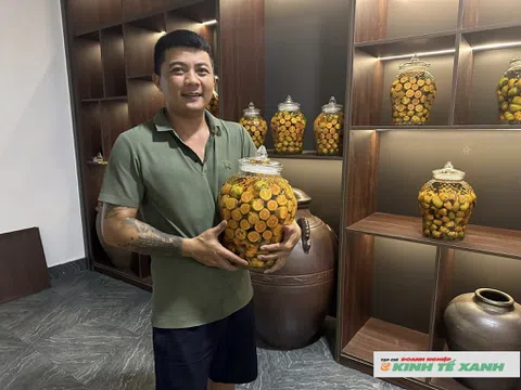 Hương rượu hồng dưới chân núi Đại Huệ – câu chuyện khởi nghiệp của hai trai Nghệ