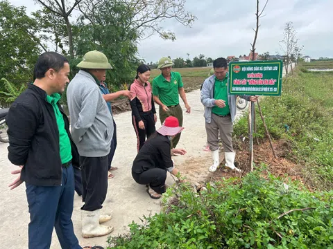Nông dân Quỳnh Lưu triển khai công trình tuyến đường Hàng cây “Nông dân ơn Bác”