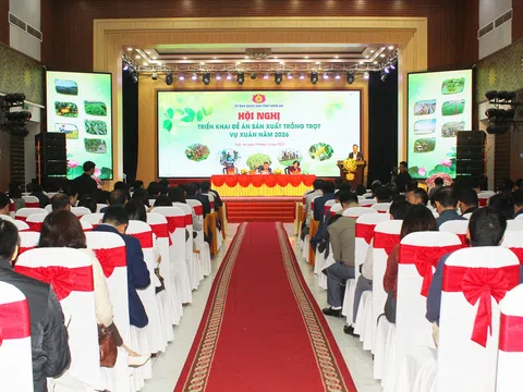 Nghệ An triển khai đề án sản xuất trồng trọt vụ Xuân năm 2026