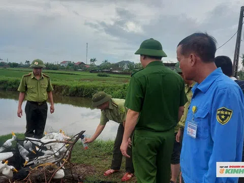 Kiểm lâm Nghệ An tăng cường đấu tranh, bảo vệ động vật hoang dã, nguồn lợi thuỷ sản
