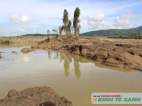 Nhà nông khổ nhọc sau lũ dữ