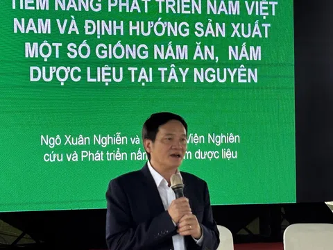 Dư địa lớn cho ngành nấm Đắk Lắk