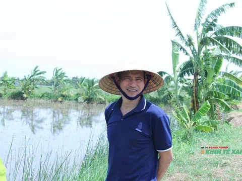 Trồng lúa hữu cơ – phục hồi hệ sinh thái, nhân đôi nguồn thu nhập