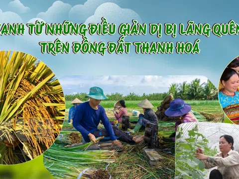 Xanh từ những điều giản dị bị lãng quên trên đồng đất Thanh Hóa (Bài 3): Sống xanh là cách trở lại sống xưa