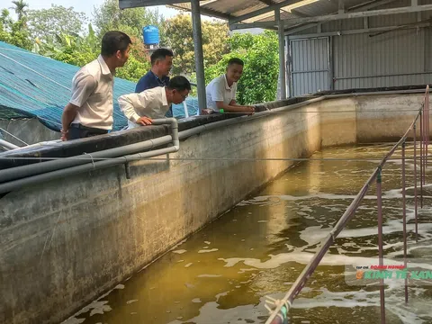 Thanh Hóa triển khai kế hoạch quan trắc, cảnh báo môi trường nuôi trồng thủy sản