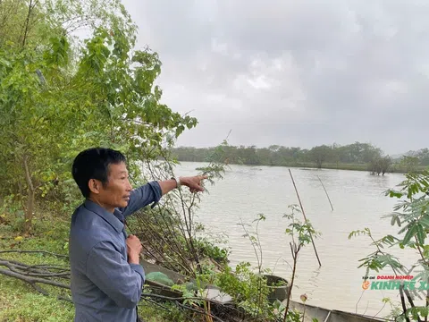 Người dân Ninh Bình chung tay bảo vệ chim hoang dã di cư