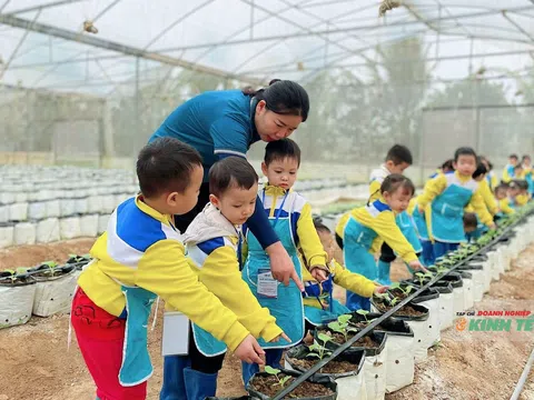 Thanh Hóa: Phát triển nông nghiệp bền vững với 1.478 chuỗi liên kết