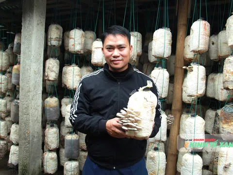 Chàng trai xứ Thanh đưa nấm sò vươn lên OCOP 3 sao
