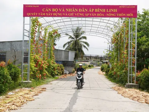 Đồng Tháp: Công nhận huyện Cao Lãnh đạt chuẩn nông thôn mới nâng cao