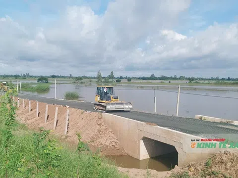 Tháng 10, tuyến Cao Lãnh - Lộ Tẻ hoàn thành, đưa vào sử dụng