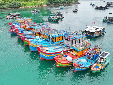 An Giang: Triển khai các nhiệm vụ chống khai thác IUU