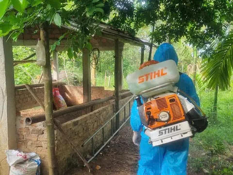 Đà Nẵng xin hỗ trợ 10 tấn hóa chất từ dự trữ quốc gia để phòng chống dịch tả lợn Châu Phi