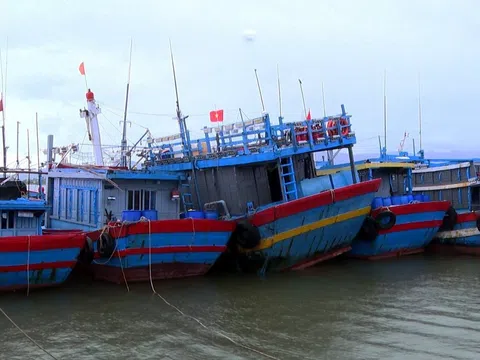 Đà Nẵng ban hành công điện khẩn ứng phó bão số 5