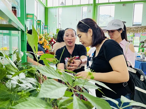 Kinh tế tuần hoàn – lời giải cho nông nghiệp Đà Nẵng trong kỷ nguyên xanh