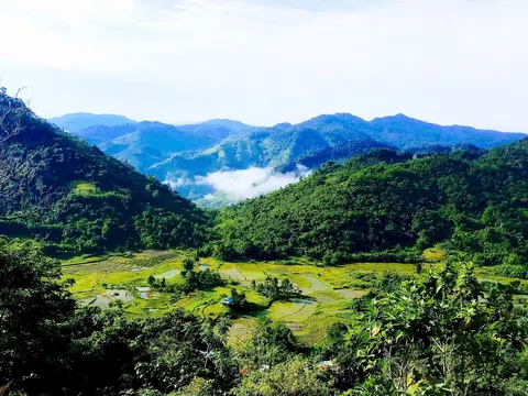 Đà Nẵng phát triển thị trường carbon, hỗ trợ doanh nghiệp xanh