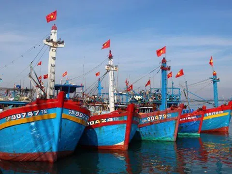 Đà Nẵng chi hơn 20 tỷ đồng hỗ trợ tàu cá vươn khơi