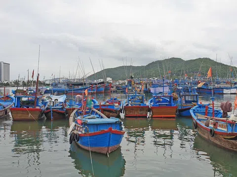 Kiên Giang đầu tư nâng cấp cảng cá