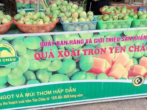 Quảng bá hình ảnh địa phương qua việc phát triển kiến thức người tiêu dùng: Kinh nghiệm từ tỉnh Sơn La