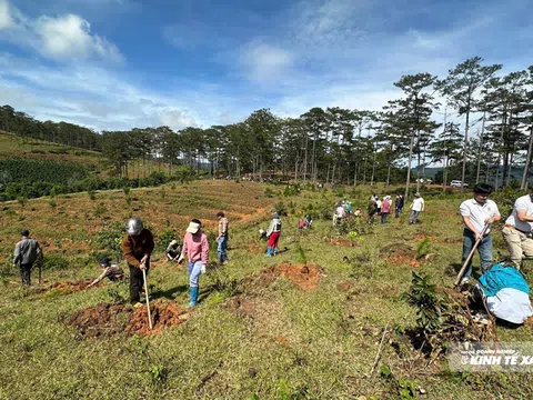 Trồng 3.400 cây xanh chào mừng Đại hội Đảng bộ tỉnh Lâm Đồng