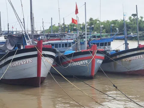 Đắk Lắk chủ động sẵn sàng các phương án ứng phó với bão số 13