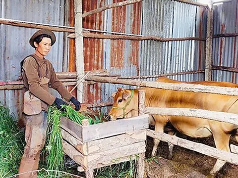 Giảm nghèo gắn với sinh kế bền vững tại tỉnh Gia Lai