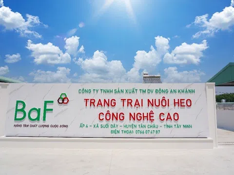 Kết thúc Quý III/2023, Nông nghiệp BaF của đại gia Trương Sỹ Bá kinh doanh ra sao?