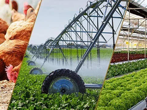 Tây Ninh: Điểm sáng của sản xuất nông, lâm nghiệp và thủy sản trong 2 tháng đầu năm 2024