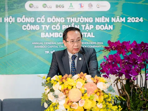 Có tân chủ tịch HĐQT người nước ngoài, Bamboo Capital (BCG) đặt mục tiêu như thế nào?