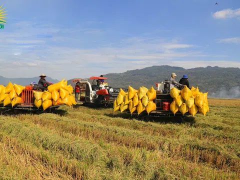 Tập đoàn Lộc Trời xuất khẩu trực tiếp 100.000 tấn gạo, thu về trên 55 triệu USD trong 2 tháng tới