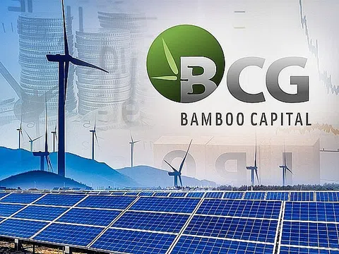 Tập đoàn Bamboo Capital vào Top 100 doanh nghiệp tư nhân nộp ngân sách lớn nhất Việt Nam