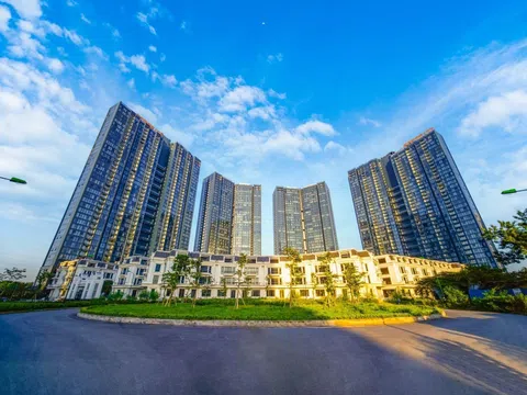 Kết thúc Quý III/2024, Sunshine Homes báo lãi trước thuế hơn 457 tỷ đồng