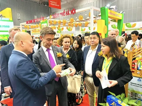 Vietnam Foodexpo 2024: Nâng tầm thương hiệu của thực phẩm Việt Nam