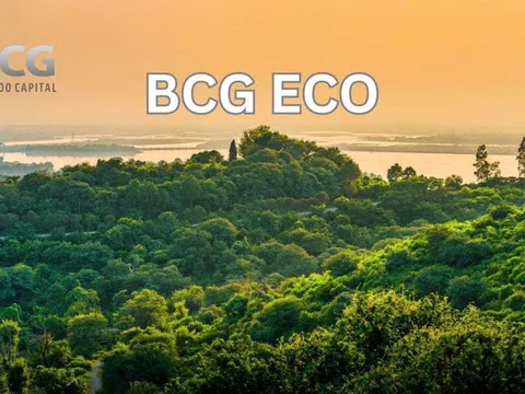 BCG Eco bắt tay các đối tác quốc tế thúc đẩy thị trường tín chỉ carbon