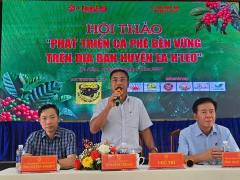 Định vị ngành cà phê: Phát triển cà phê bền vững là xu thế tất yếu