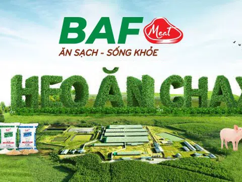 BaF Việt Nam (BAF): Lợi nhuận tăng gấp 10 nhờ chiến lược “xanh hóa” chăn nuôi