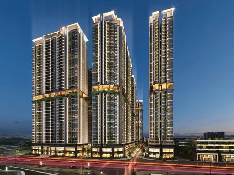 “Ông lớn” Phát Đạt sở hữu thêm quỹ đất hơn 500 ha đất tại Thành phố Hồ Chí Minh sau sáp nhập