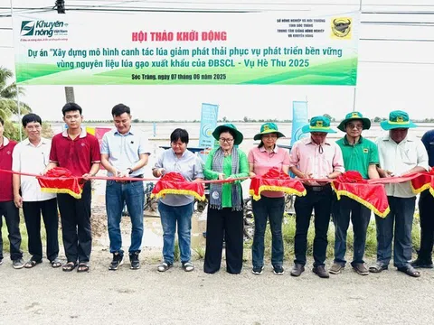 Đồng bằng sông Cửu Long đẩy mạnh mô hình canh tác giảm phát thải: “Ruộng lúa sạch - Tương lai xanh”