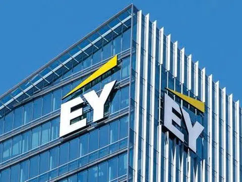 EY Việt Nam: Gã khổng lồ với biên lợi nhuận ròng mỏng như "lá lúa"