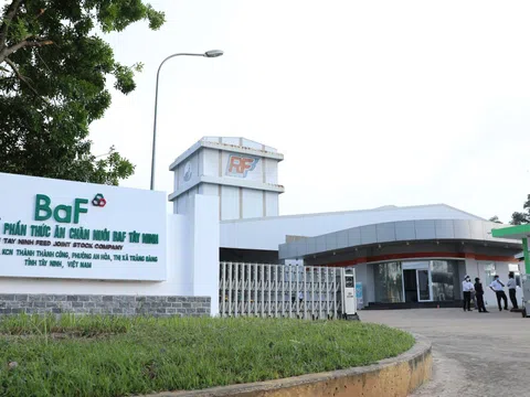 BaF Việt Nam rút ngắn thời gian giải ngân 1.000 tỷ đồng trái phiếu