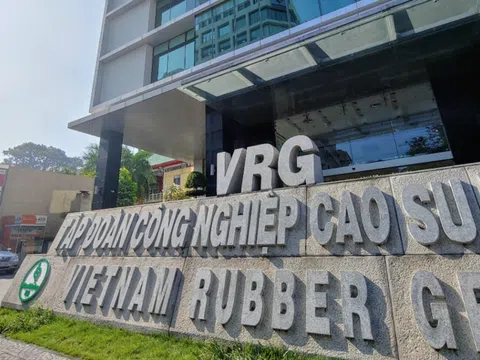 Tập đoàn Công nghiệp Cao su Việt Nam tăng trưởng mạnh, mở rộng hơn 2.600 ha đất khu công nghiệp