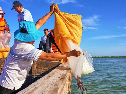 Thả 65.000 cá giống xuống hồ Dầu Tiếng, tăng cường bảo vệ hệ sinh thái nước ngọt