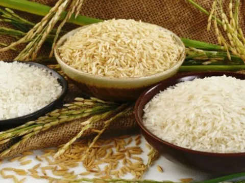 Nhãn hiệu Gạo Việt Nam/Vietnam Rice được bảo hộ tại 22 quốc gia