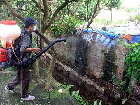 Ngăn chặn nguy cơ lan rộng dịch tả lợn châu Phi