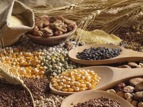 Thị trường nông sản thế giới: Giá gạo Ấn Độ cao nhất kể từ tháng 7/2021